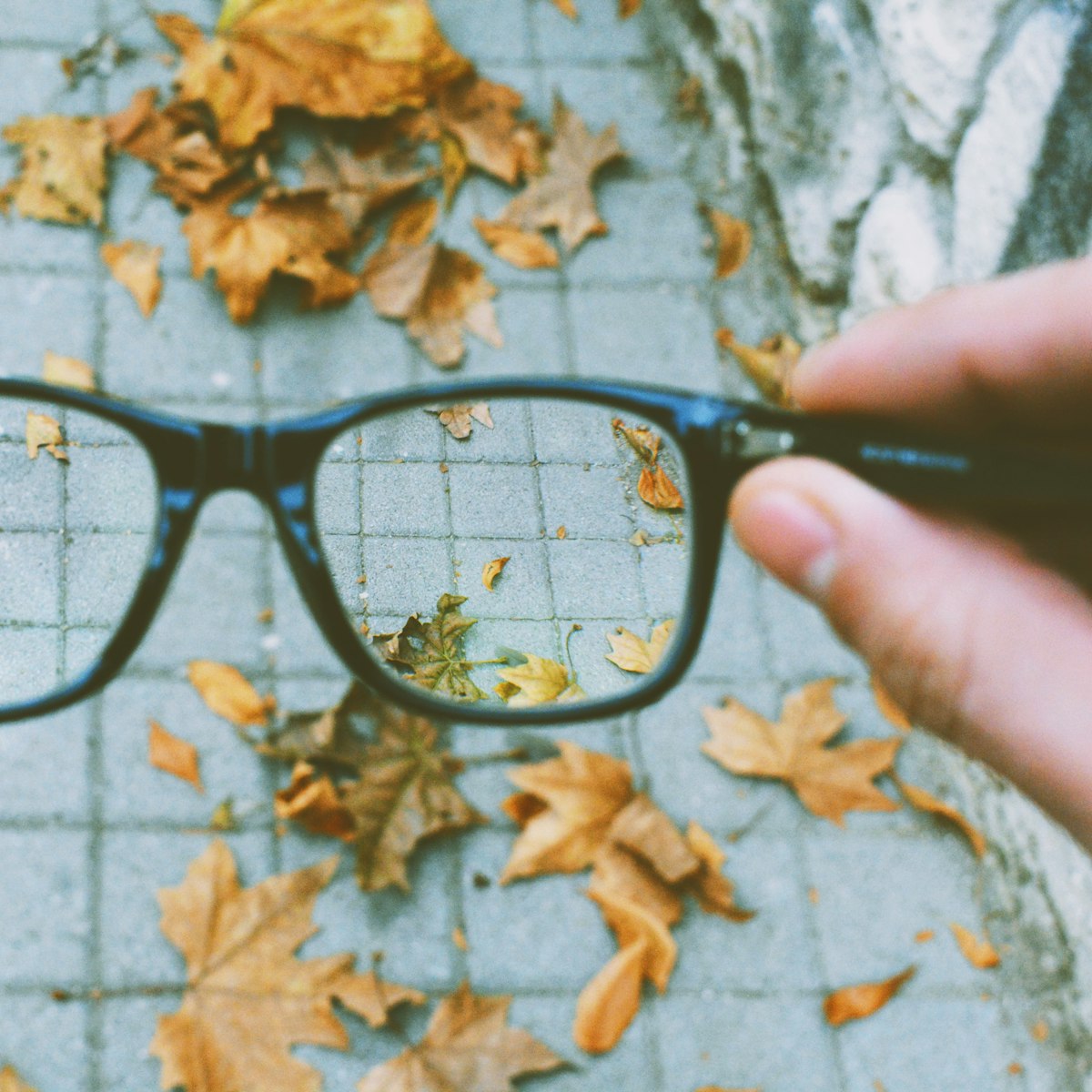 Arden rectangle eyeglasses