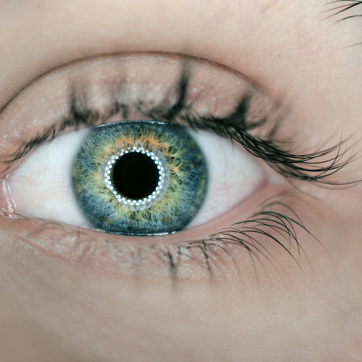 Close-up of a clear eye