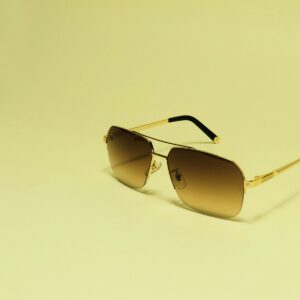 Horizon gold aviator sunglasses