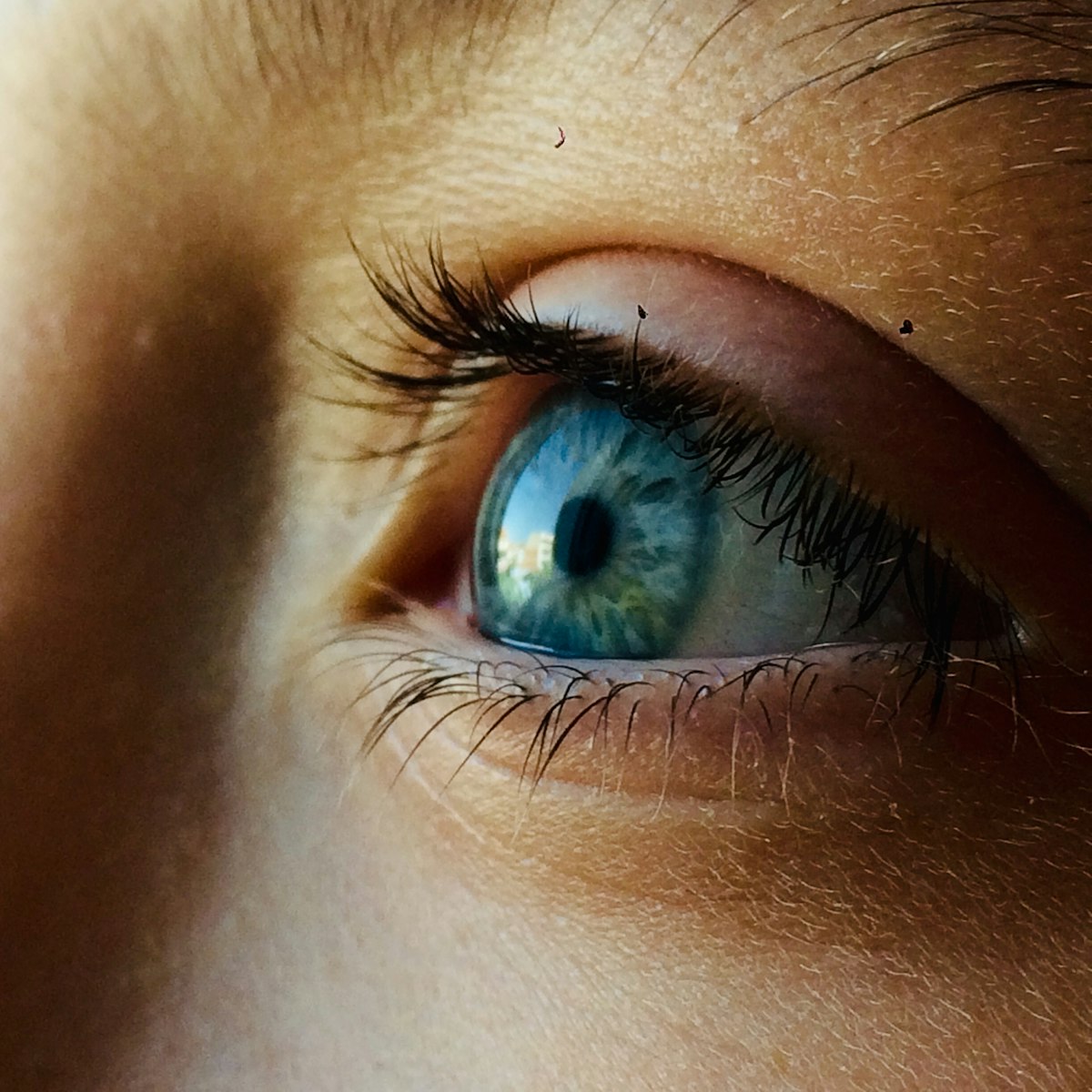 Close-up of an eye